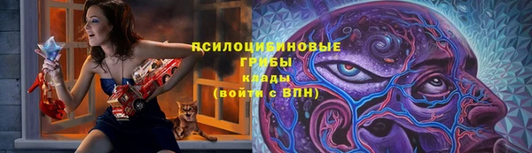 бошки Медвежьегорск