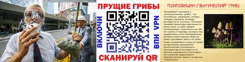 Галлюциногенные грибы Cubensis  Усть-Катав 
